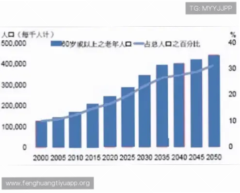 足彩加新手使用技巧与注意事项